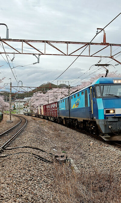 Factors to consider when picking a travel destination