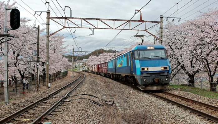 Factors to consider when picking a travel destination