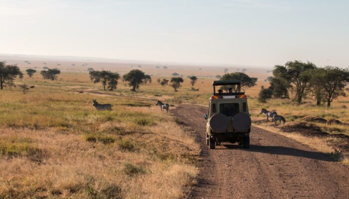 5 popular wildlife safari destinations