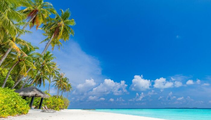 7 stunning tropical islands to visit